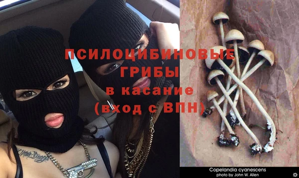 гидропоника Богданович