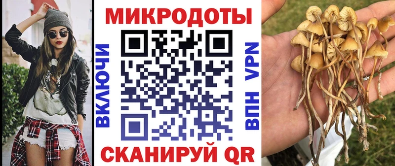 Псилоцибиновые грибы ЛСД Купить закладки Меленки