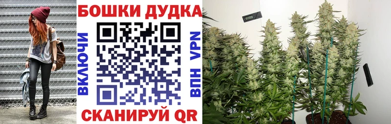 Купить где  Меленки  МАРИХУАНА сатива 